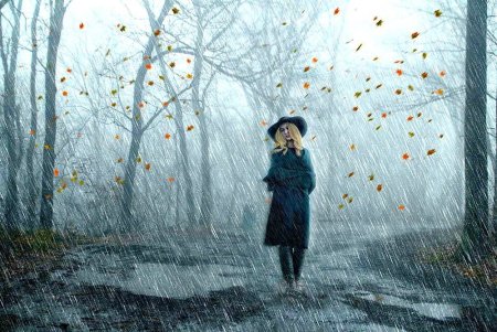 Поздняя осень дождь