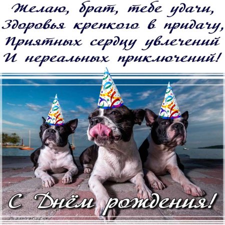 С днём рождения брату