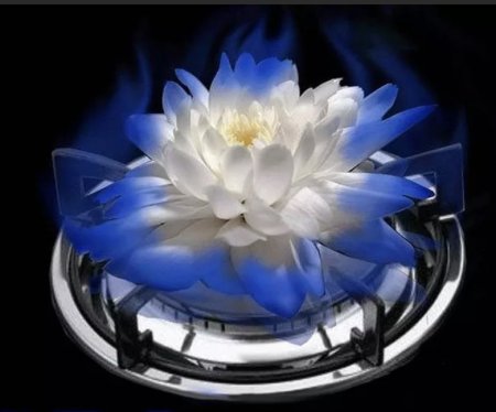 Газпром карикатура