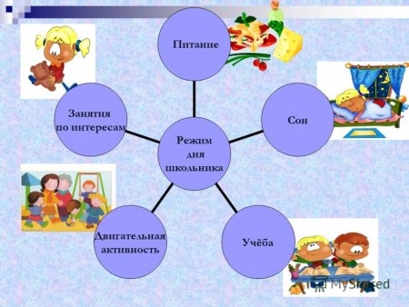 Кластер на тему режим дня