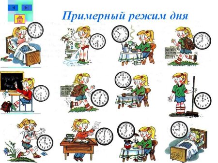 Распорядок дня школьника