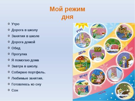 Распорядок дня школьника