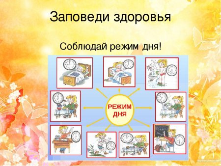 Как сделать режим дня для школьника 3 класса