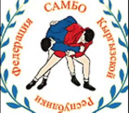 Самбо картинки логотип