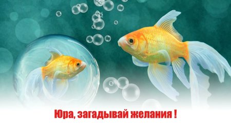 С днём рождения Юра