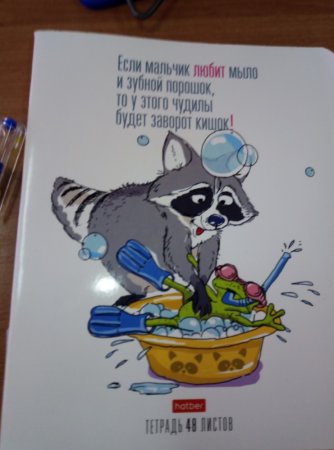 С днем рождения енот