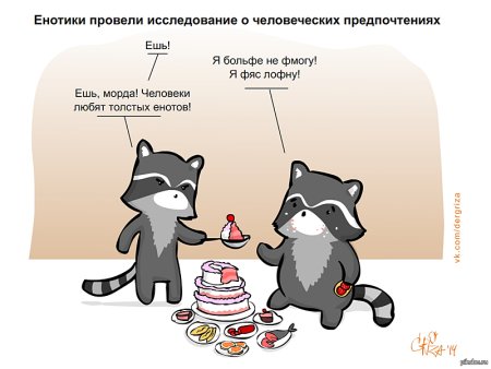 Открытка «енот»