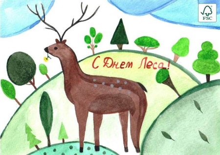 День леса рисунки детей