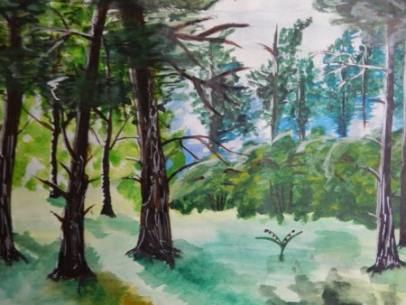 Международный день леса рисунки