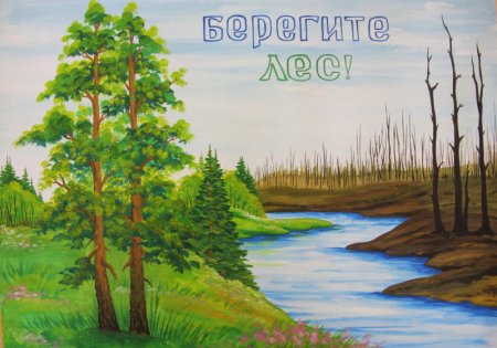 Международный день леса рисунки