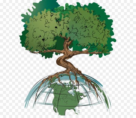 Международный день леса