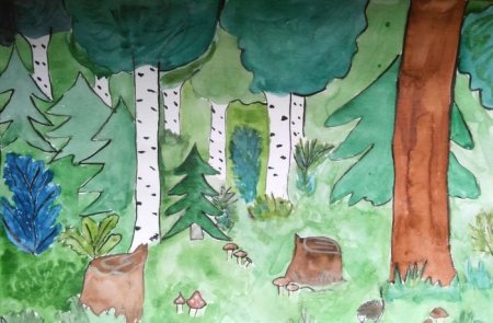 День леса рисунки