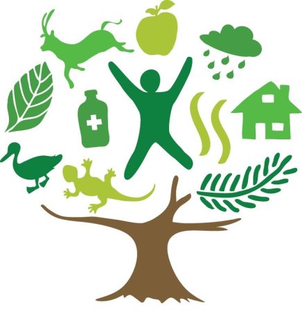 Международный день лесов эмблема