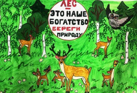 Международный день лесов 21 марта для дошкольников