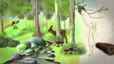 День защиты лесов