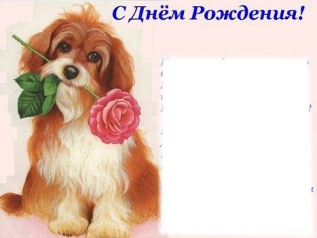 Приглашение на день рождения с щенками