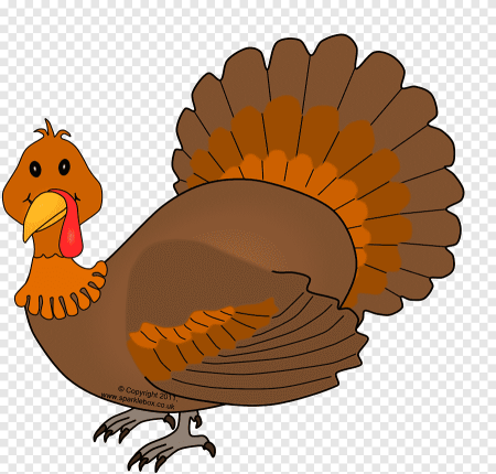 Turkey индюк for Kids