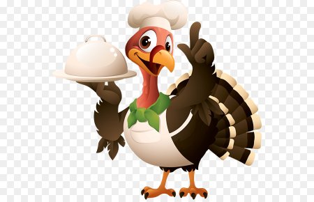 Раскраска индюк по номерам для детей