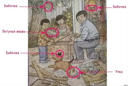 Задание опиши картинку