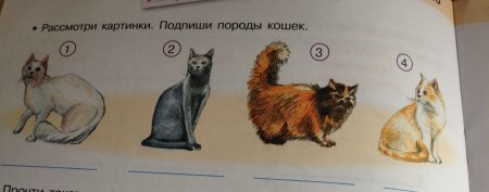 Образы людей для рисования