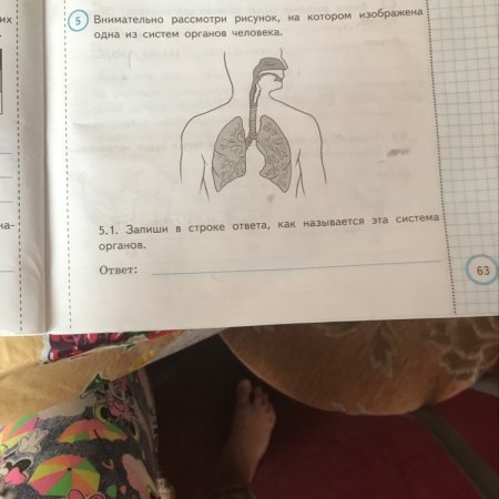 Распорядок дня школьника раскраска