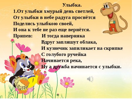 Мультфильмы. Крошка енот