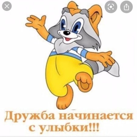 Мультфильмы. Крошка енот