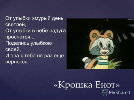Крошка енот