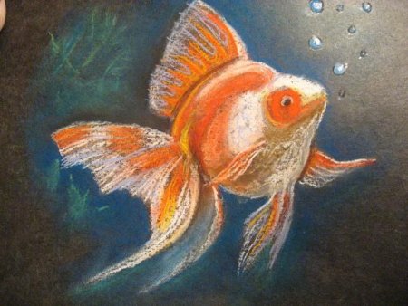 Рыбки сухой пастелью