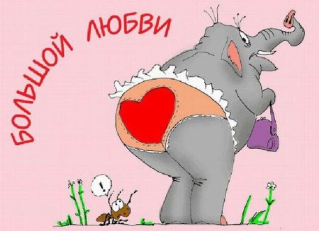 Прикольные поздравления