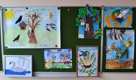 Плакат берегите птиц