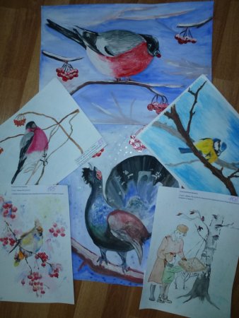 Конкурс рисунков птицы
