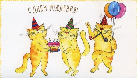 С днем рождения кот