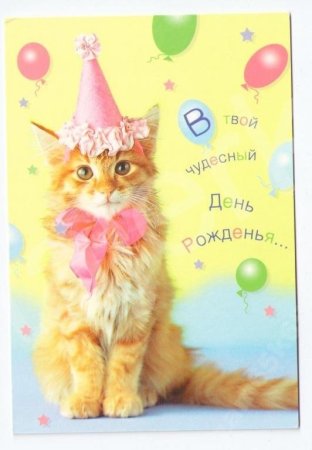 Открытки с днём рождения с котиками