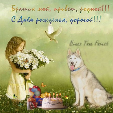 Прикольные открытки