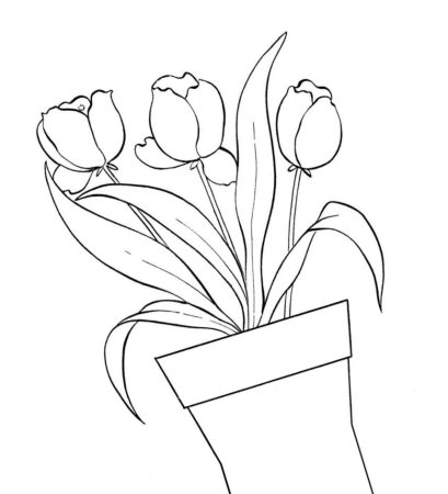 Роза в горшке раскраска