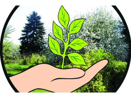 Биоразнообразие планеты