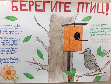 Плакат берегите птиц