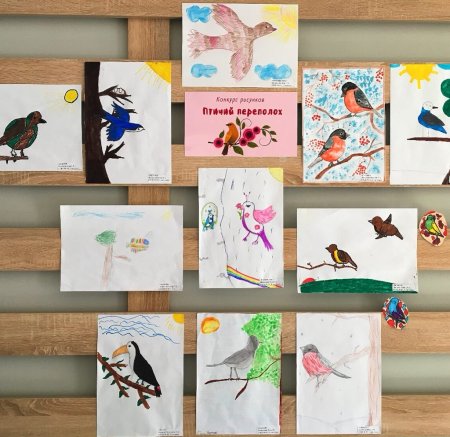 Международный день птиц