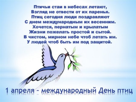 Международный день птиц