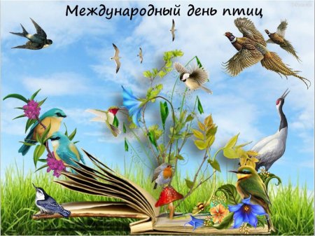 Всемирный день птиц