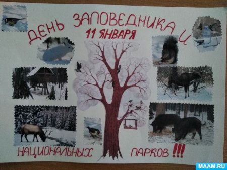День заповедников плакаты
