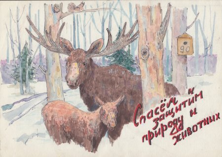 Мир заповедной природы плакат