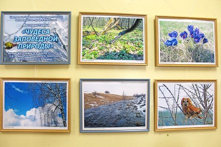 Фотовыставка чудеса природы