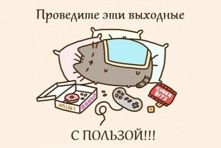 Как провести выходные картинки