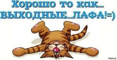 Хорошо отдохнуть в выходные