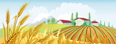 Сельское хозяйство