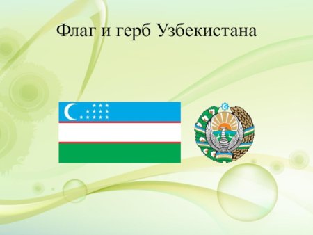 Шерб т флаг Узбекистана