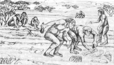 Собирательство первобытных людей