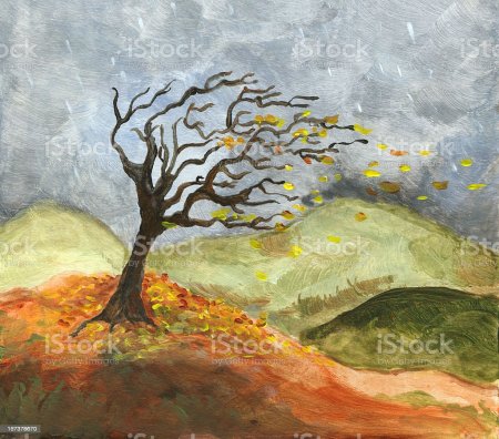 Осеннее дерево на ветру